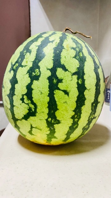 1724244552045.jpg