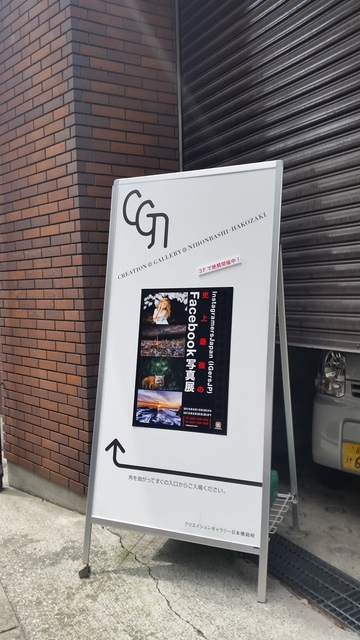 20160626_101205.jpg