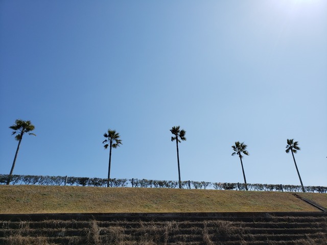 20220226_123305.jpg