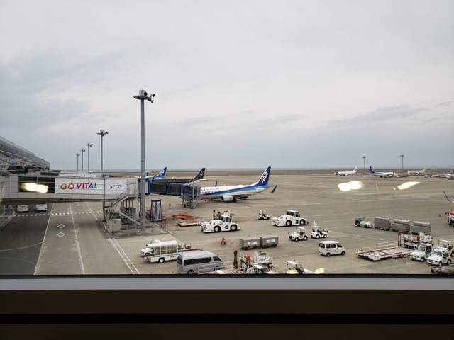 20220326_070813.jpg