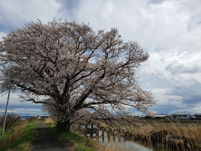 20220331_134741.jpg