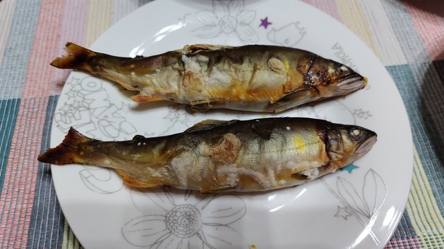 240821211355056-3af76.JPG