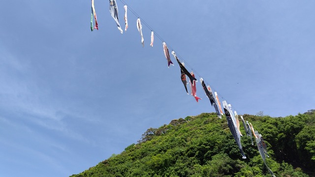 250503101018474.JPG